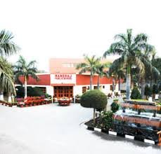 hansraj public school