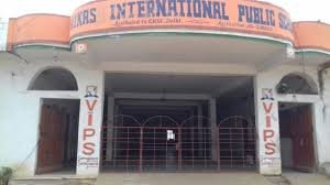 vikas international