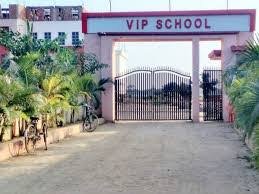 vip school
