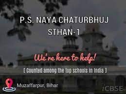 P.S. NAYA CHATURBHUJ STHAN